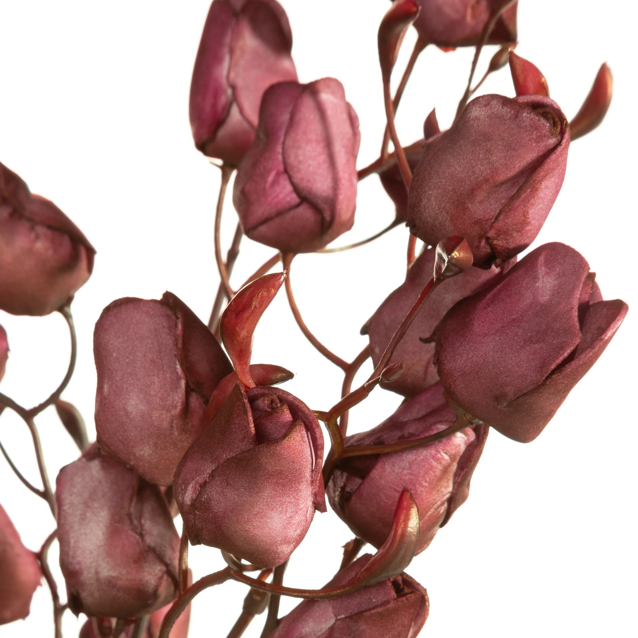 Kwiat sztuczny ciemnofioletowy z plastycznej pianki foamiran 75 cm Eurofirany