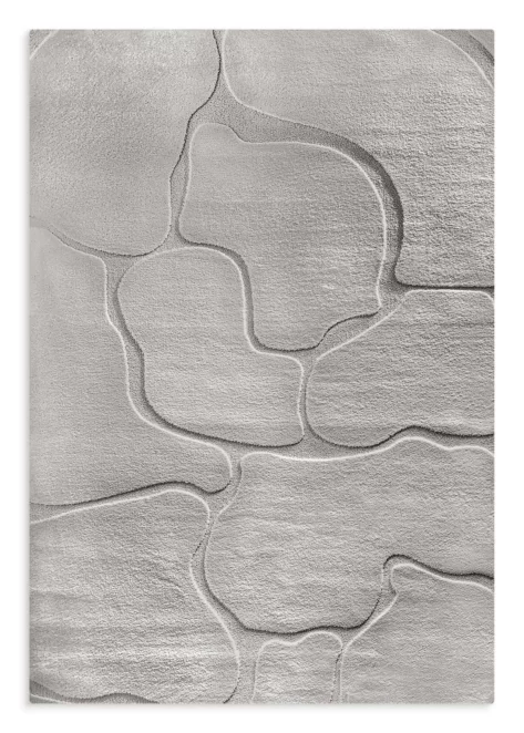 Dywan 120x170 cm srebrny wytłaczany z organicznym wzorem ALBA5 Eurofirany