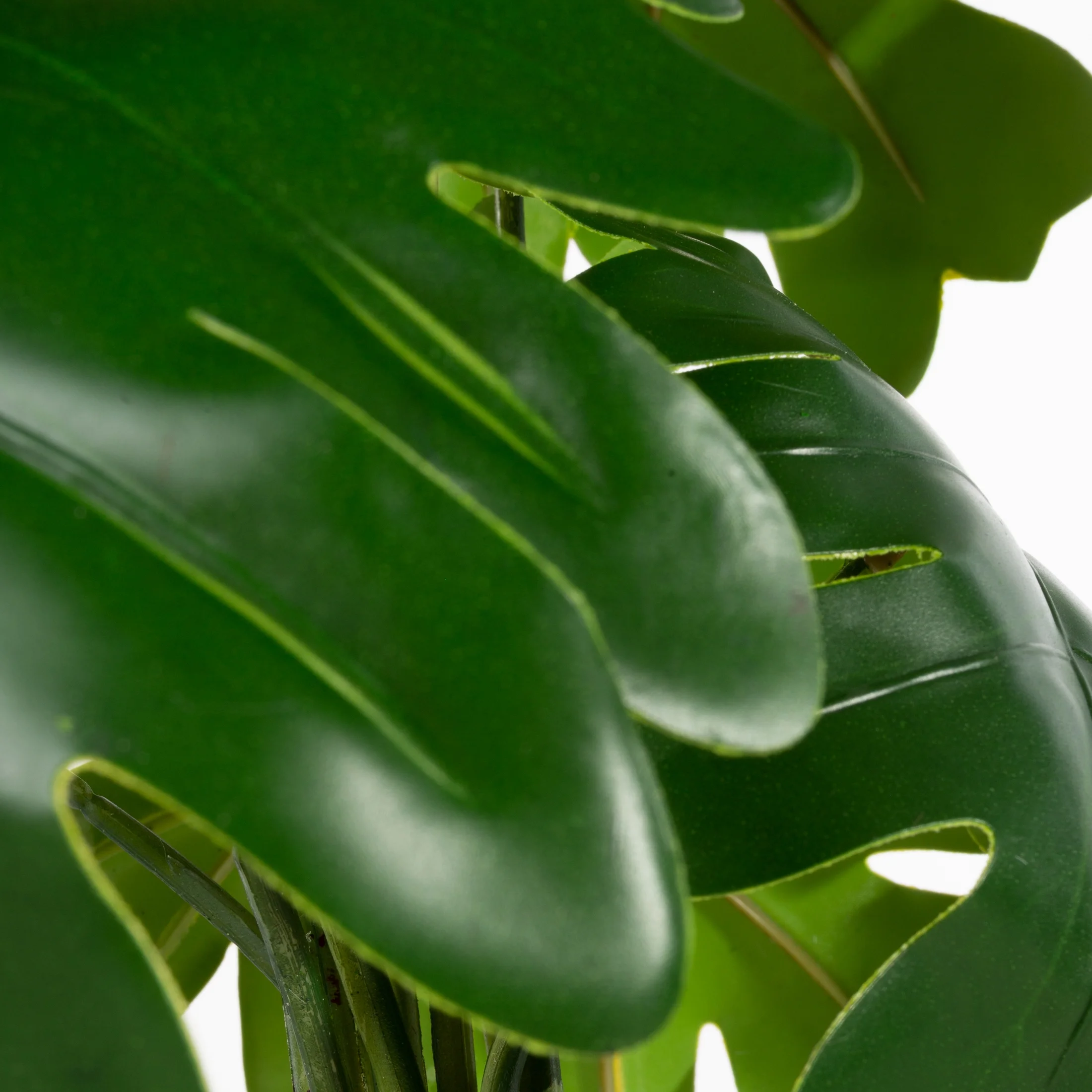 Kwiat sztuczny doniczkowy zielono, biały 40 cm