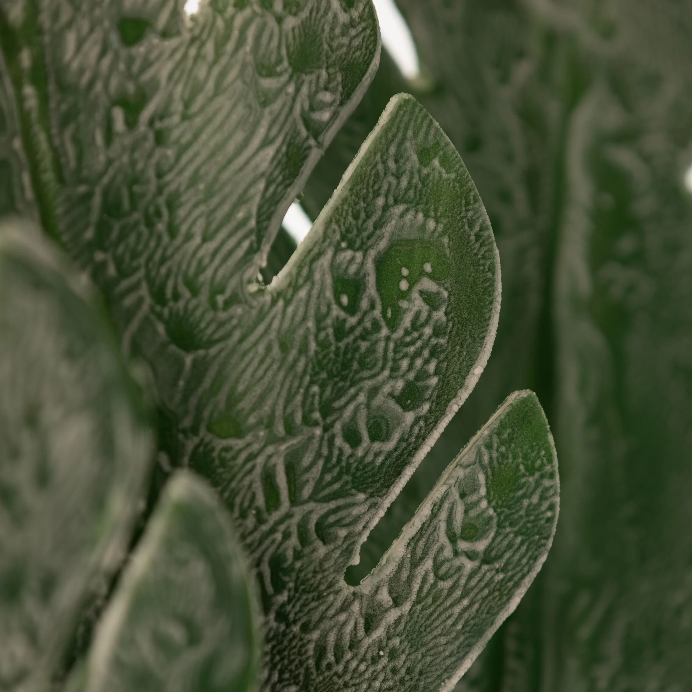 Gałązka sztuczna trzy liście monstery ciemnozielone 56 cm