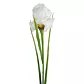 Kwiat sztuczny dekoracyjny IRYS kremowy Eurofirany