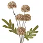 Kwiat sztuczny dekoracyjny CHRYZANTEMA beżowy Eurofirany