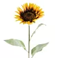 Kwiat sztuczny dekoracyjny SŁONECZNIK żółto-brązowy Eurofirany