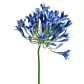 Kwiat sztuczny dekoracyjny AGAPANT niebieski Eurofirany