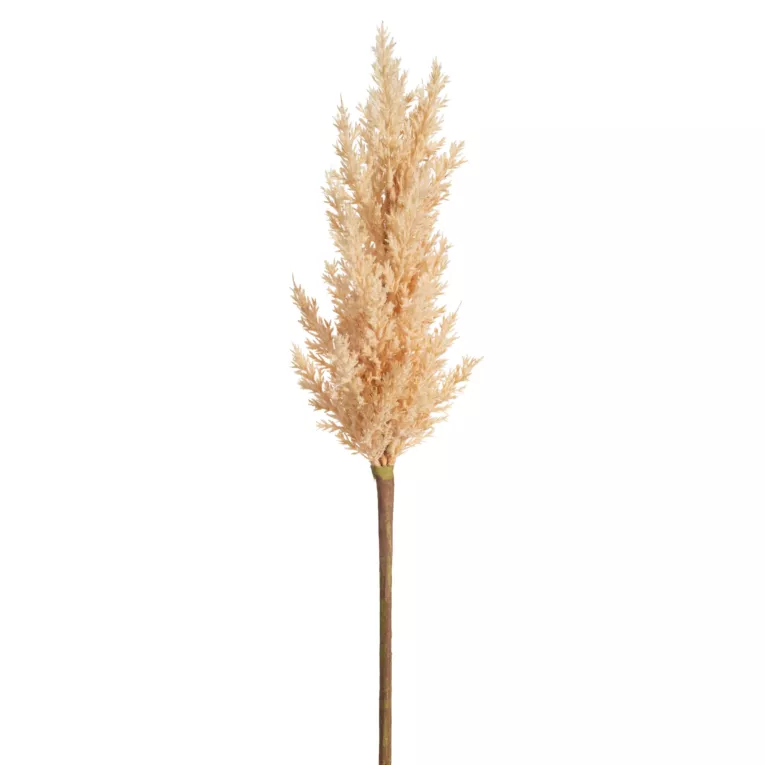 Sztuczny kwiat dekoracyjny TRAWA PAMPASOWA  beżowa Eurofirany