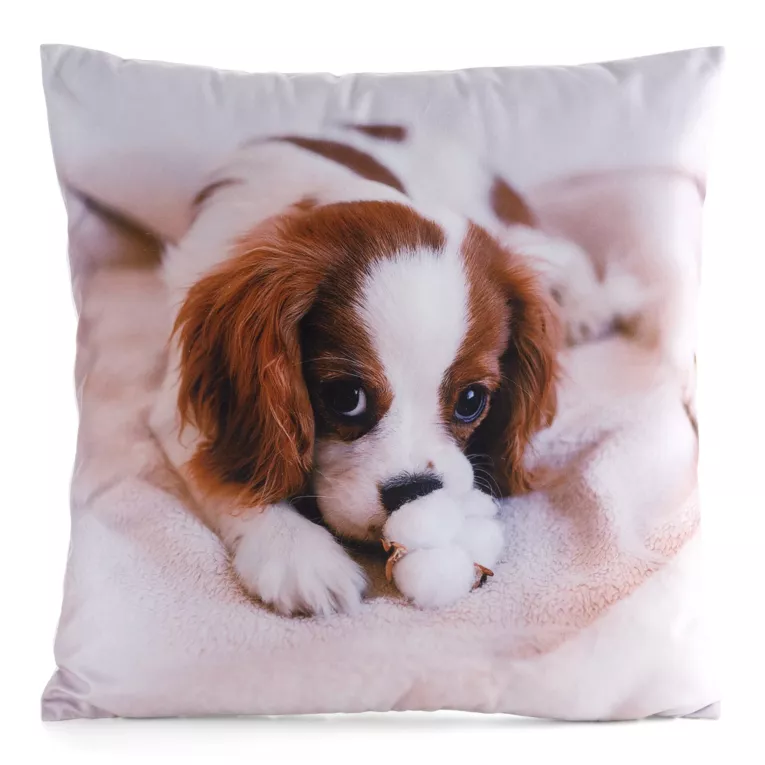 Poszewka ANIMAL z welwetu z motywem psa Eurofirany