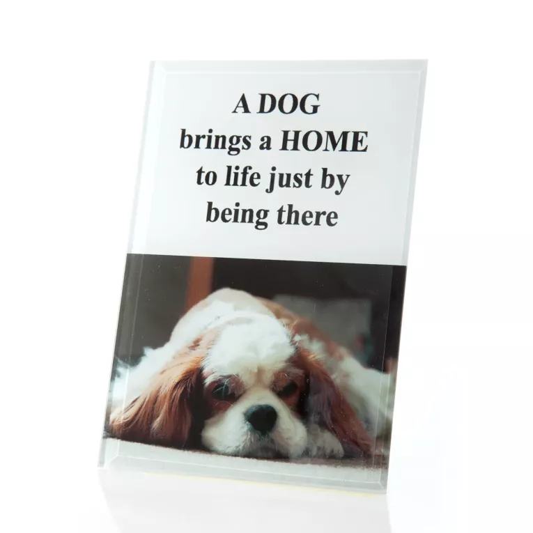 Obrazek dekoracyjny PRINT czarno - biały w szklanej ramce Eurofirany