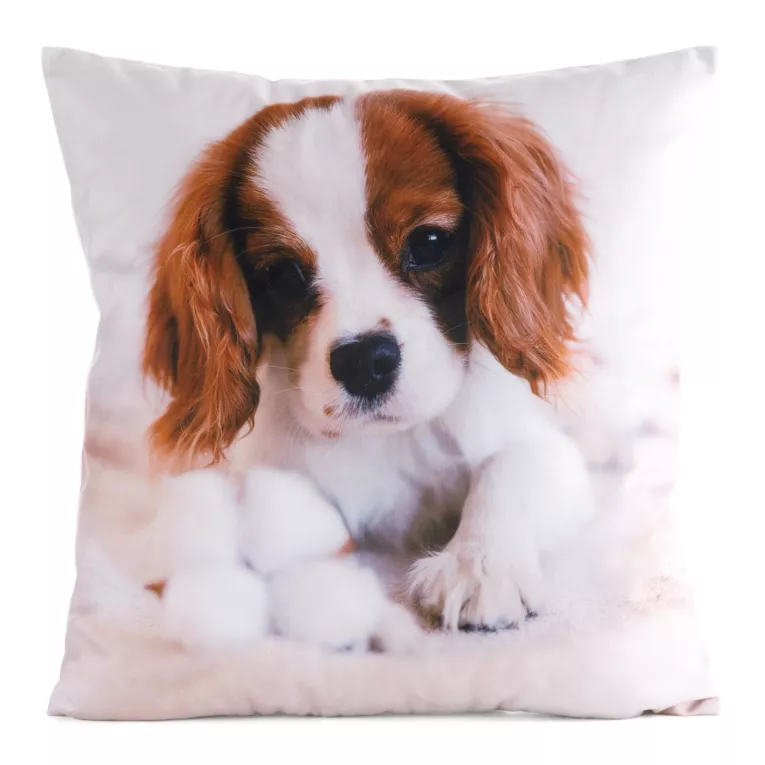 Poszewka na poduszkę 45x45 cm welwetowa zdobiona nadrukiem psa biało, brązowa ANIMAL Eurofirany