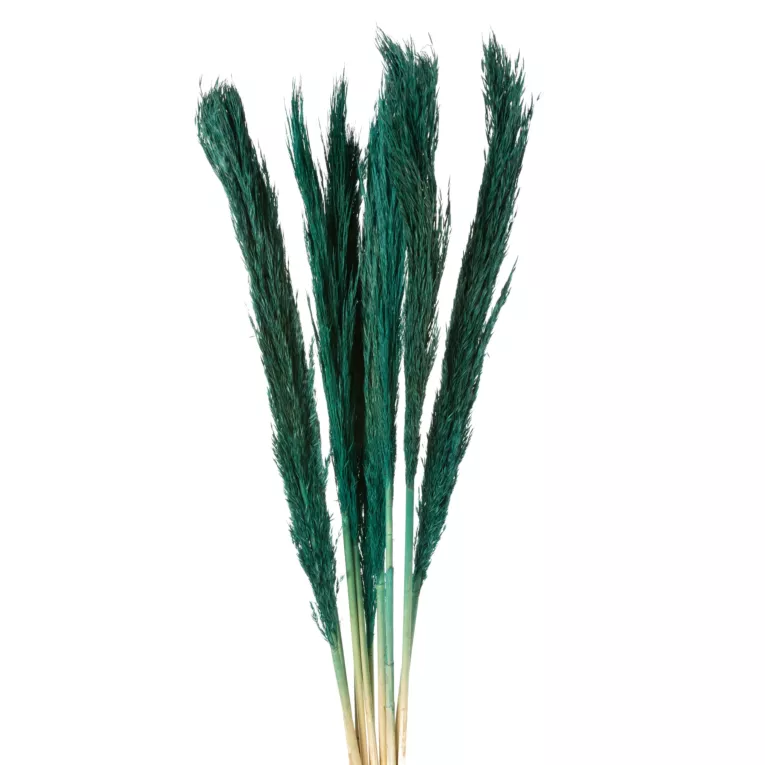 Bukiet suszonych traw babala niebieski pęczek 10 szt. 68 cm