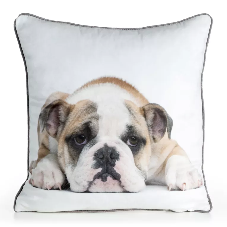 Poszewka na poduszkę 45x45 cm welwetowa biała, jasnoniebieska z motywem psa ANIMAL 81 Eurofirany