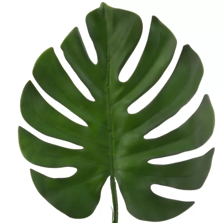 Liść dekoracyjny MONSTERSA  zielony Eurofirany