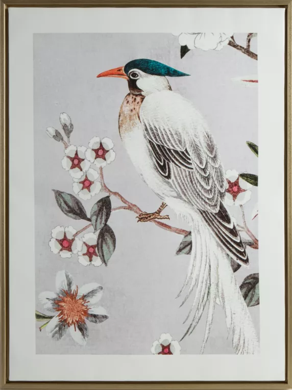 Obraz nadruk na płótnie z motywem Szponiaka Przylądkowego pośrodku gałęzi w pastelowych odcieniach Eurofirany