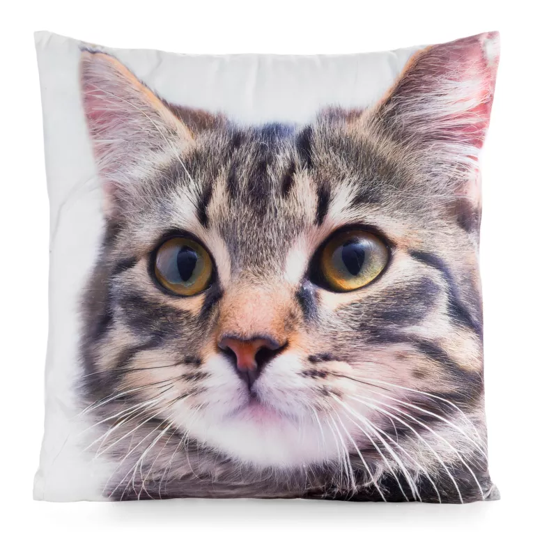 Poszewka na poduszkę 45x45 xm welwetowa zdobiona nadrukiem uroczego kota biało, beżowa ANIMAL Eurofirany