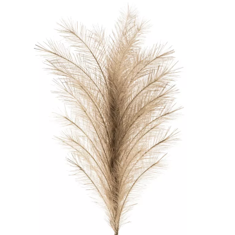 Sztuczna gałązka dekoracyjna TRAWA PAMPASOWA jasnobrązowa z dużym pióropuszem Eurofirany