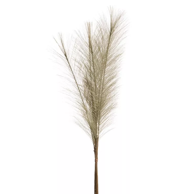 Gałązka sztuczna trawa pampasowa zielona z ozdobnym pióropuszem 70 cm