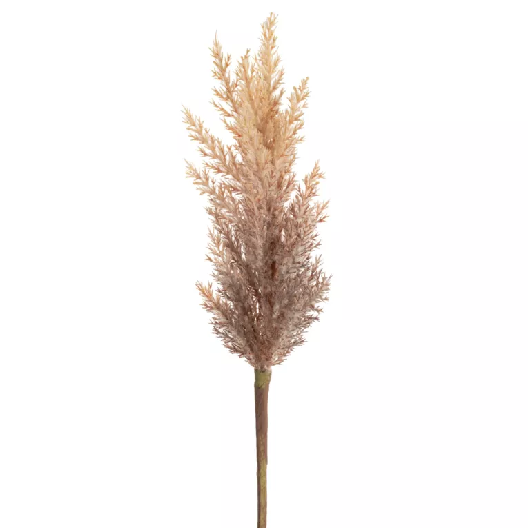 Sztuczny kwiat dekoracyjny TRAWA PAMPASOWA  beżowo-brązowa Eurofirany