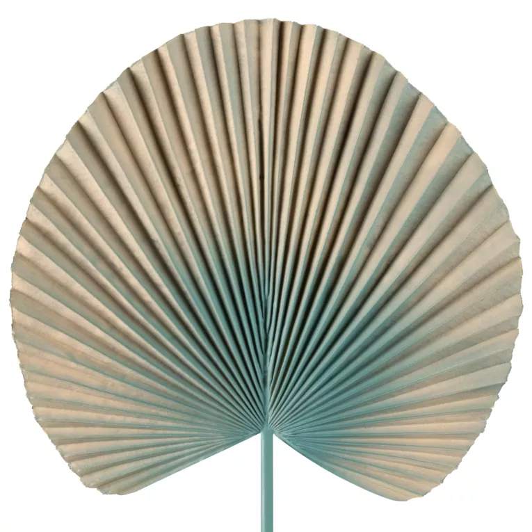 Liść dekoracyjny botaniczny srebrno-beżowy Eurofirany