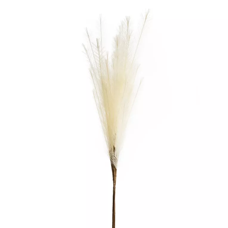 Sztuczna gałązka dekoracyjna MISKANT kremowa Eurofirany