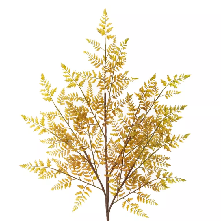 Gałązka dekoracyjna liść paproci Eurofirany