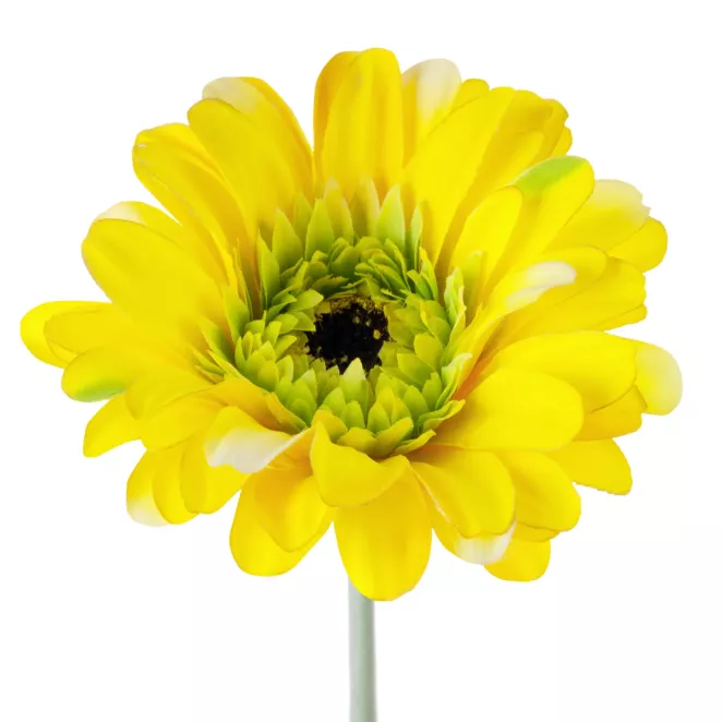 Kwiat sztuczny dekoracyjny GERBARA żółty Eurofirany