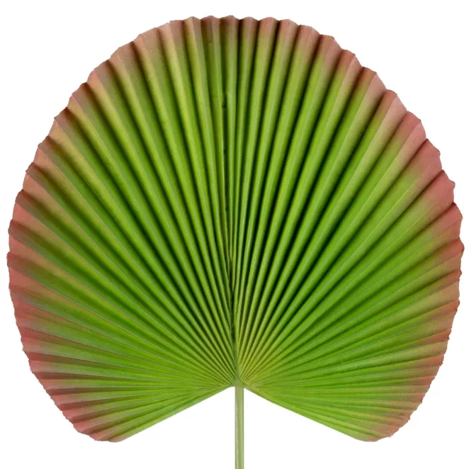 Liść dekoracyjny botaniczny zielono bordowy Eurofirany