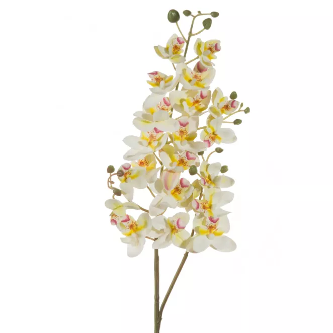 Sztuczny kwiat storczyk wielokwiatowy biały  Eurofirany