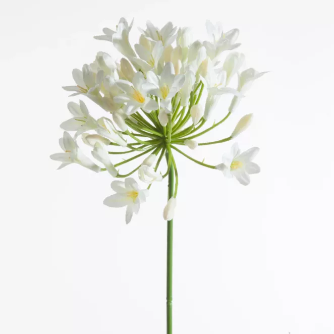 Kwiat sztuczny dekoracyjny AGAPANT kremowy Eurofirany