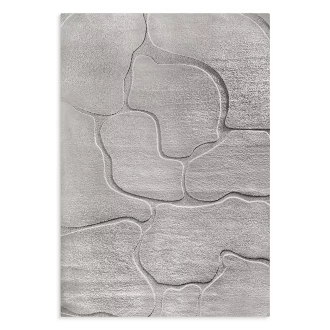 Dywan 80x150 cm srebrny wytłaczany z organicznym wzorem ALBA5 Eurofirany