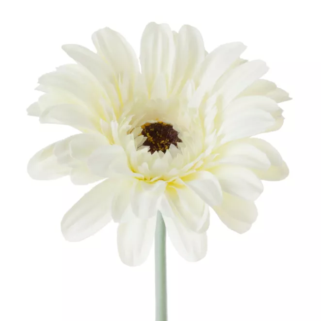 Kwiat sztuczny dekoracyjny GERBERA biały Eurofirany