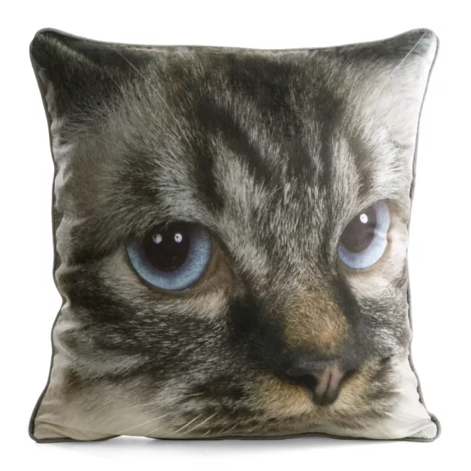 Poszewka na poduszkę 45x45 cm welwetowa beżowo, biała z motywem kota ANIMAL 80 Eurofirany