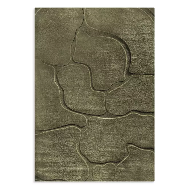 Dywan 80x150 cm oliwkowy wytłaczany z organicznym wzorem ALBA6 Eurofirany