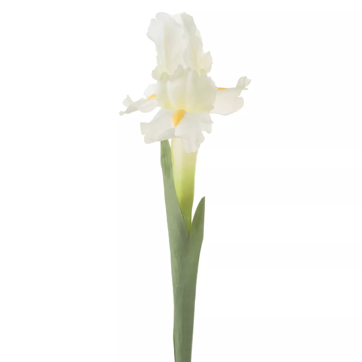 Kwiat sztuczny kremowy irys 70 cm