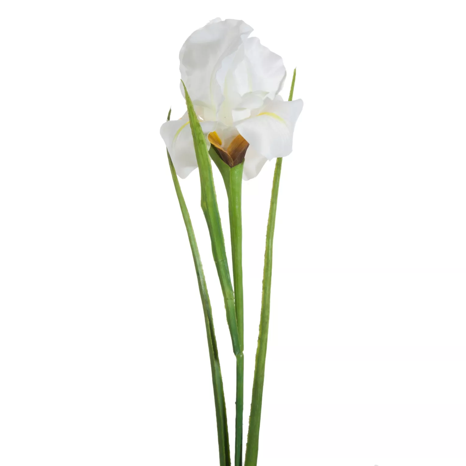 Kwiat sztuczny irys kremowy 61 cm