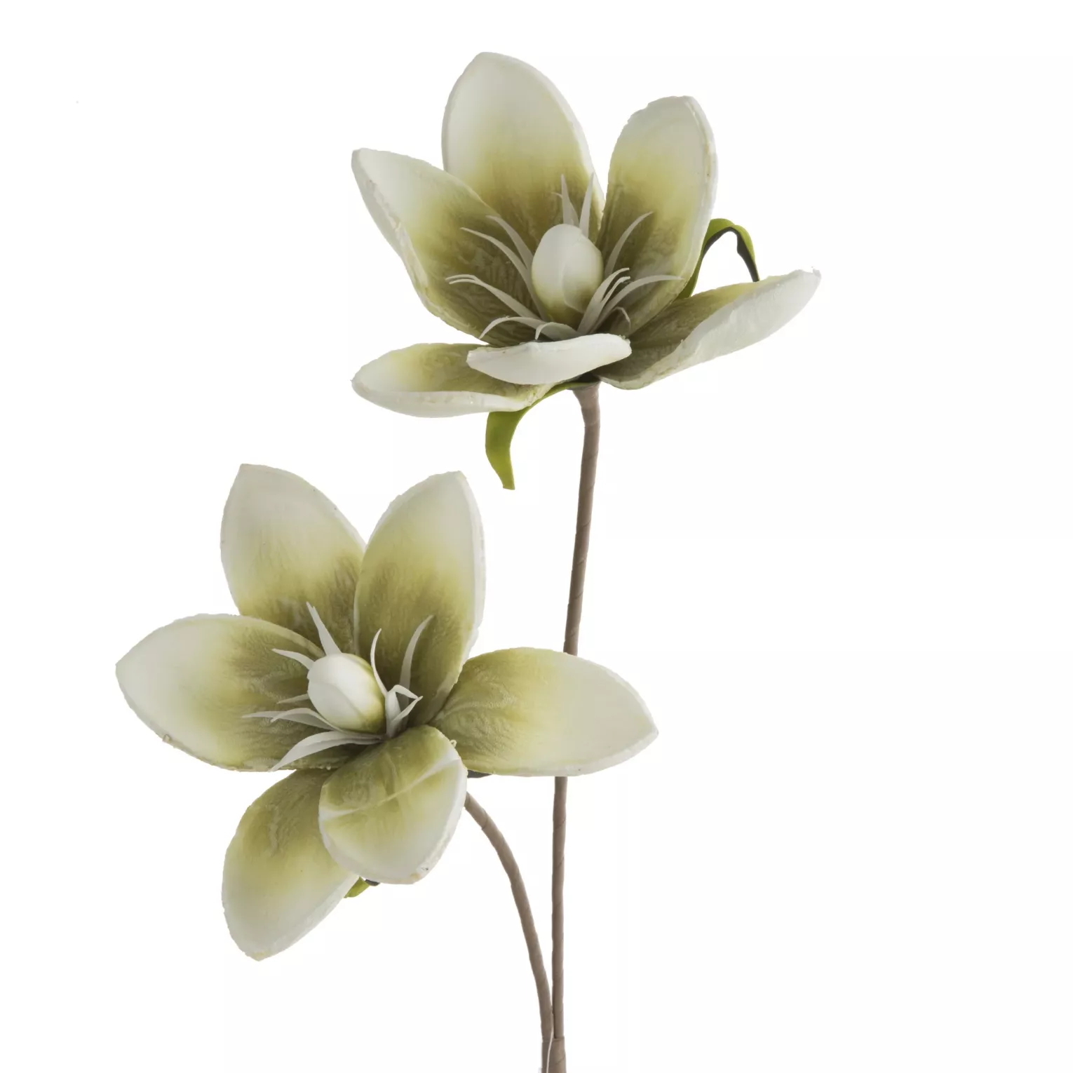 Kwiat sztuczny magnolii zielono, kremowy 70 cm Eurofirany