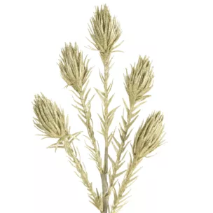 Sztuczna gałązka dekoracyjna z lśniącym brokatem szampańska Eurofirany