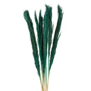 Bukiet suszonych traw babala niebieski pęczek 10 szt. 68 cm