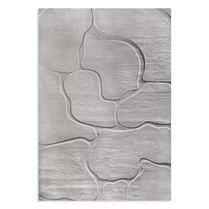 Dywan 120x170 cm srebrny wytłaczany z organicznym wzorem ALBA5 Eurofirany
