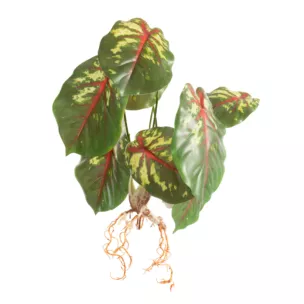 Kwiat sztuczny doniczkowy o zielono-różowych ozdobnych liściach 45 cm