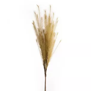 Gałązka sztuczna trawa pampasowa beżowa z ozdobnym pióropuszem 80 cm