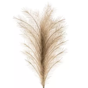Sztuczna gałązka dekoracyjna TRAWA PAMPASOWA jasnobrązowa z dużym pióropuszem Eurofirany