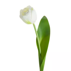 Kwiat sztuczny dekoracyjny TULIPAN Eurofirany