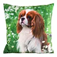 Poszewka na poduszkę 45x45 cm welwetowa zdobiona nadrukiem psa zielon, biała ANIMAL Eurofirany