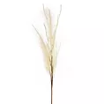 Sztuczna gałązka dekoracyjna MISKANT kremowa Eurofirany