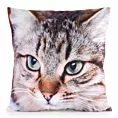 Poszewka na poduszkę 45x45 cm welwetowa zdobiona nadrukiem uroczego kota biało, brązowa ANIMAL Eurofirany