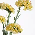 Kwiat sztuczny dekoracyjny ZATRWIAN żółty Eurofirany