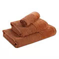 Ręcznik do rąk 30x50 cm bawełniany kolor ceglasty z welwetową bordiurą ARIA Eurofirany