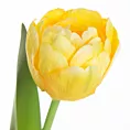 Kwiat sztuczny dekoracyjny TULIPAN Eurofirany