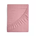 Prześcieradło frotte z gumką 160x200 cm z bawełny kolor pudrowy róż 170 g/m2 Design 91 Eurofirany