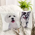 Poszewka na poduszkę 45x45 cm welwetowa zdobiona nadrukiem psa biało, czarna ANIMAL Eurofirany