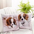 Poszewka na poduszkę 45x45 cm welwetowa zdobiona nadrukiem psa biało, brązowa ANIMAL Eurofirany